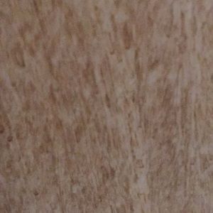 Meet your Posher, Tommy